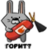 :rabbit2: