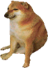 :cheems: