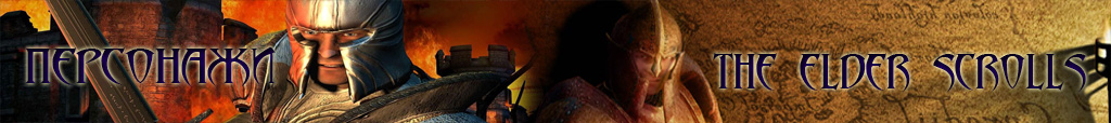 Imperial: Total War, Strategy, History