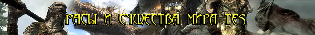 Imperial: Total War, Strategy, History